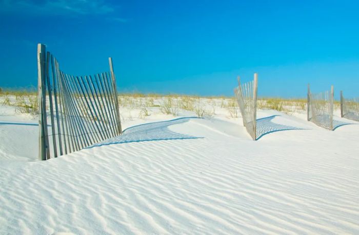 Sand dunes in Gulf State Park, Alabama, USA.