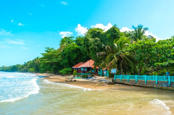 The coastline of Cahuita National Park