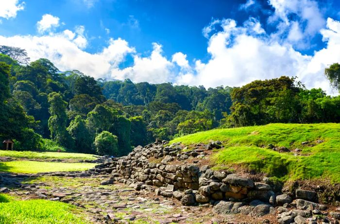 Rocks on a hillside in front of a lush forest.