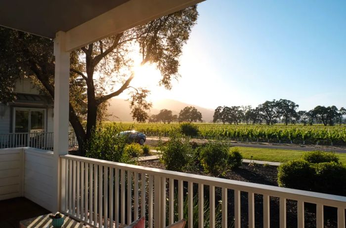 View from the balcony at The Setting Inn, overlooking the vineyards