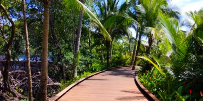 Image of the boardwalk and jungle at Nayara Bocas del Toro, Panama - photo by Billie Cohen