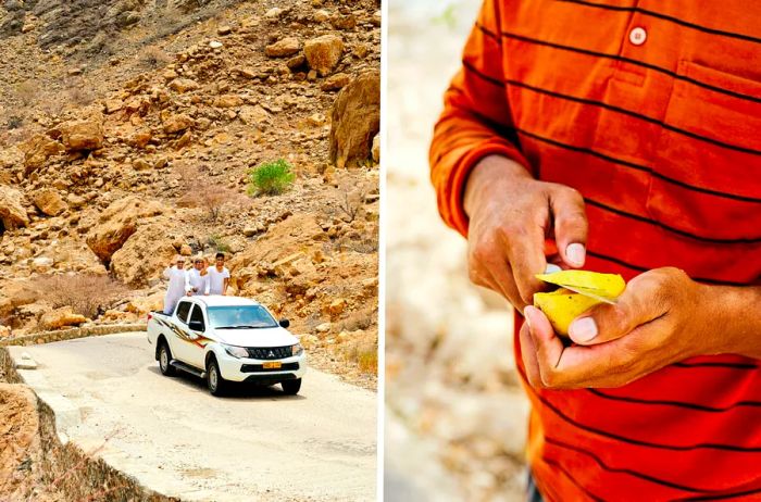 Left: Three men standing in the back of a white pickup truck. Right: A person slicing into a ripe mango.