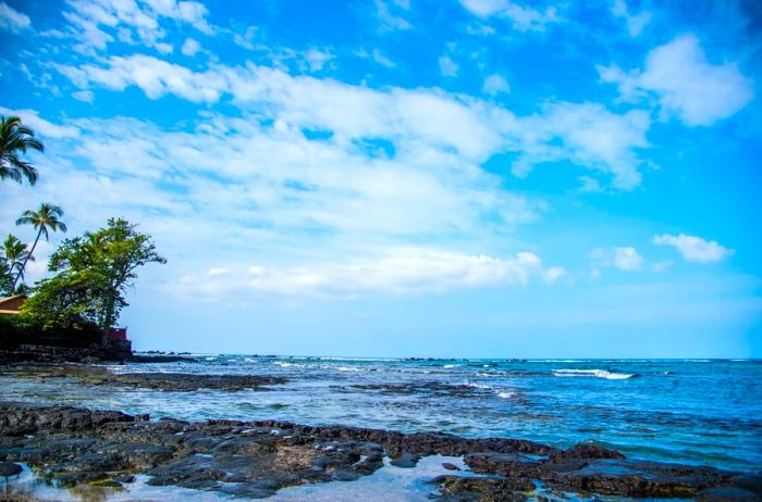 Waters close to a rocky shoreline surrounded by trees.