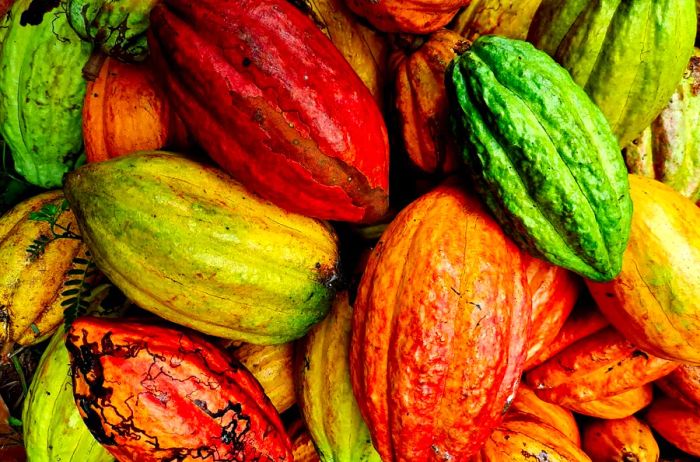 Cacao Pods on Príncipe