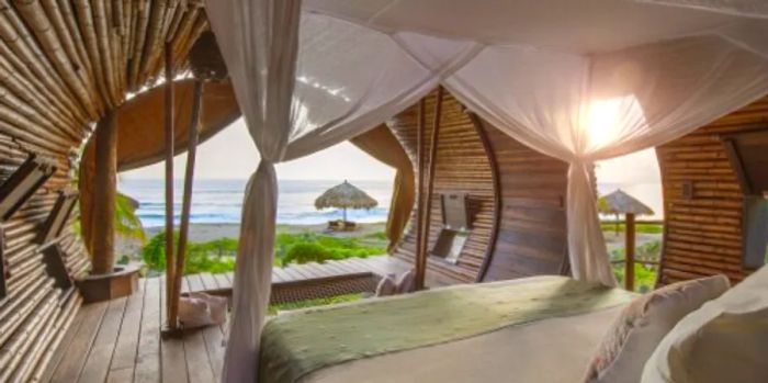 The Playa Viva treehouse accommodations offer ocean views.