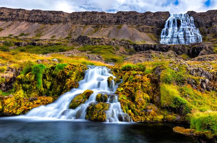 The stunning Dynjandi waterfall in Iceland, framed by lush moss-covered rocks in the foreground.