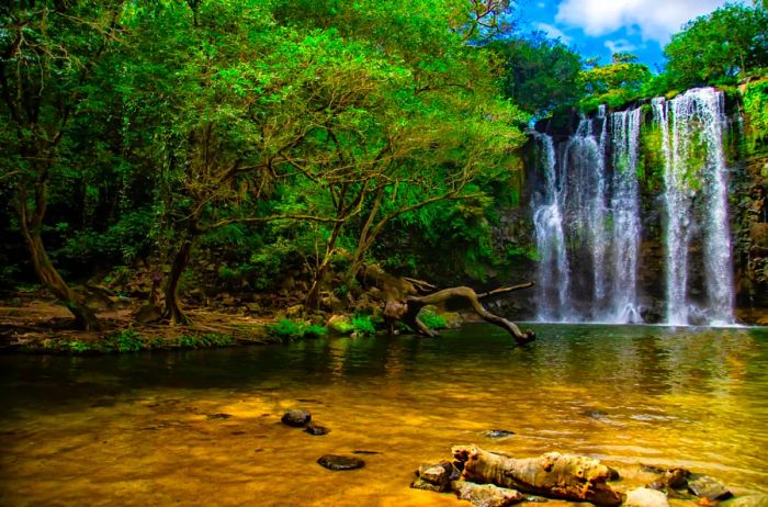 The beautiful Llanos de Cortez Waterfall is located just south of Liberia, Costa Rica, surrounded by vibrant greenery and lush flora.