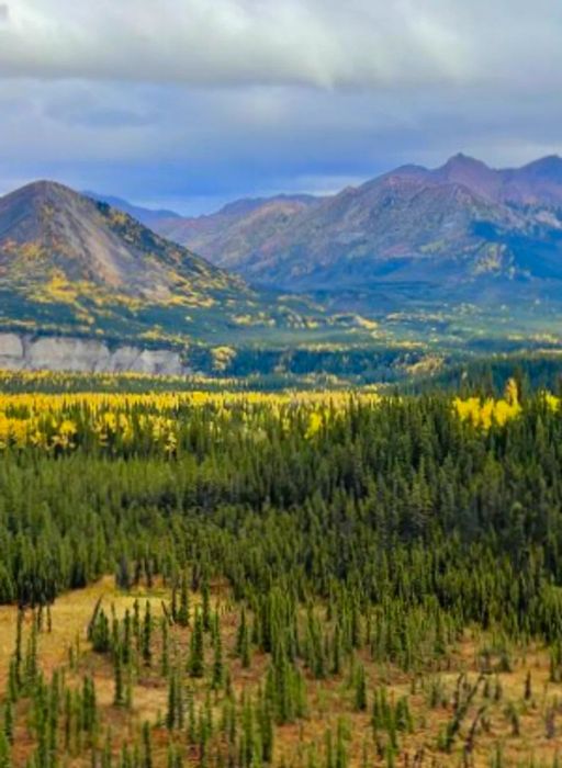 A stunning view from the Alaska Railroad