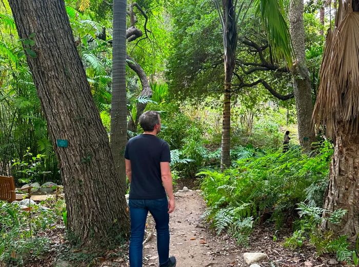 A man walks along a serene path in the UCLA Mathias Botanic Garden.