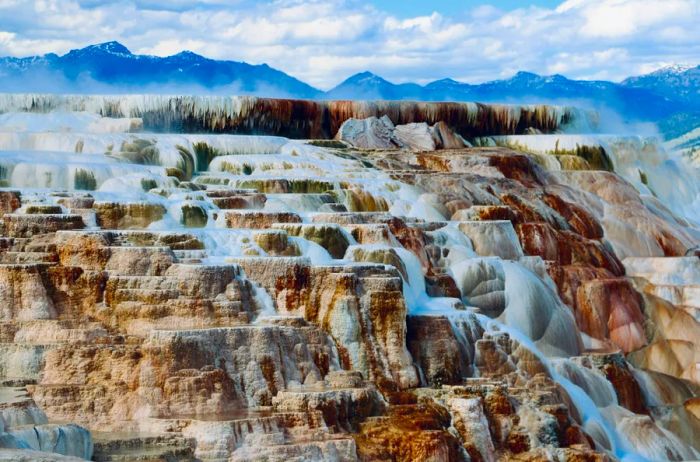 The tiered and steaming Mammoth Hot Springs located in Yellowstone National Park.