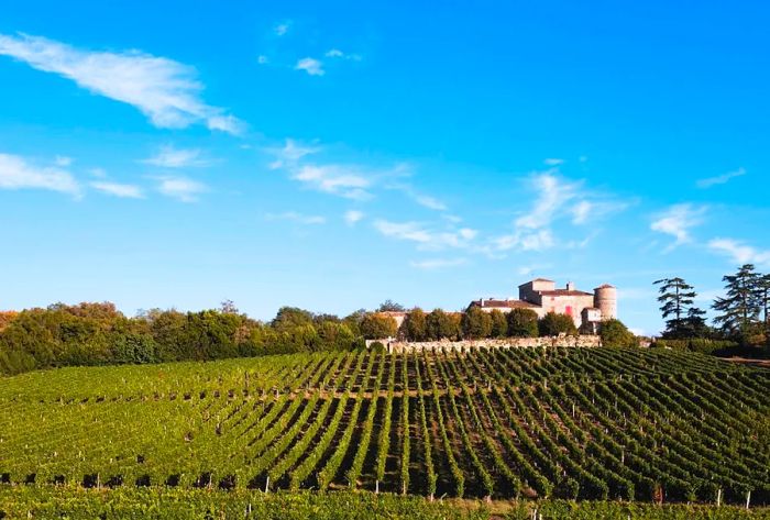 View of vineyards and Chateau Lacaussade, Bordeaux, France. (Photo by Westend61/Getty Images)