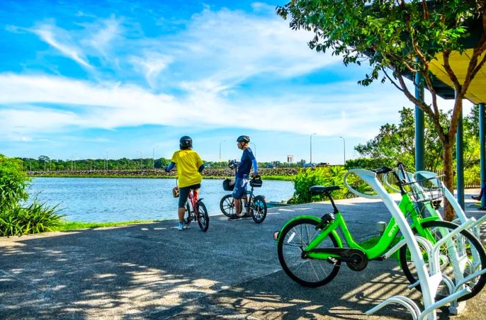 Cyclists at Rower’s Bay Park in Singapore