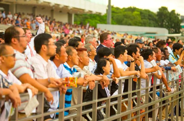 Spectators Enjoying a Horse Race at Singapore Turf Club, Kranji