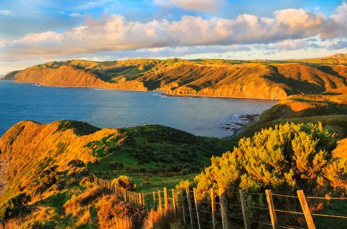 New Zealand Welcomes You with Open Arms