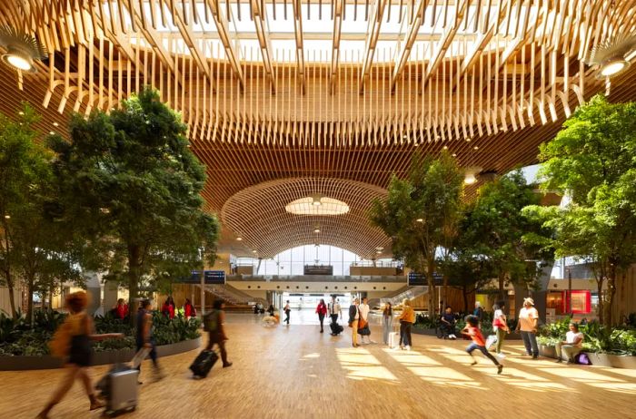 Interior of new terminal: a bright central walkway with high ceilings, natural light streaming through wooden beams, and greenery, with a few travelers wheeling suitcases