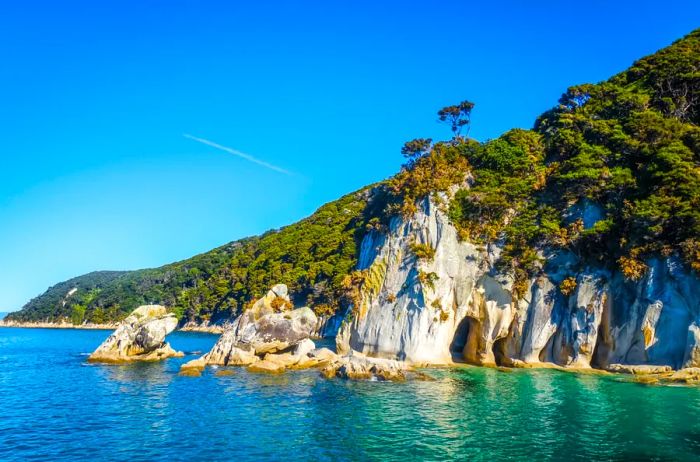 White cliffs lined with green trees along the coast in Abel Tasman National Park.