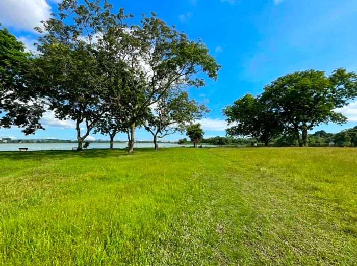 Scenic Views, Flora, Pathways, and Waterways at Kranji Reservoir Park, Singapore