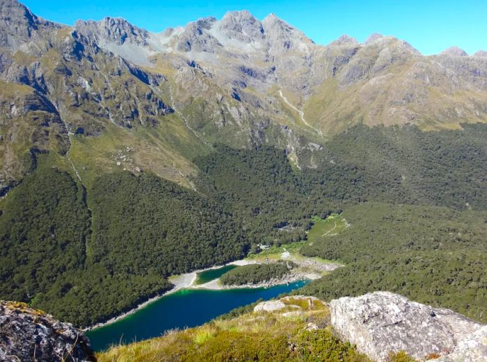 Aerial view of the Routeburn Track cutting through a deep valley surrounded by forested mountains in Fiordland National Park.