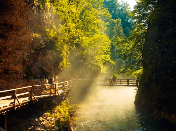 A few individuals traverse a bridge within the Vintgar Gorge.