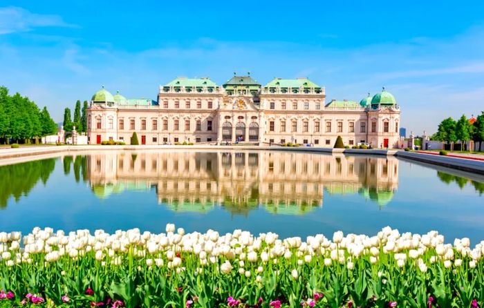 The Upper Belvedere palace reflected in a large pool, framed by a row of white tulips in the foreground