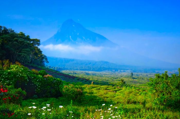 A volcano rises amidst the lush landscape of Virunga National Park