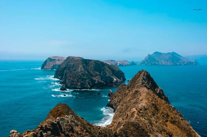 Channel Islands National Park