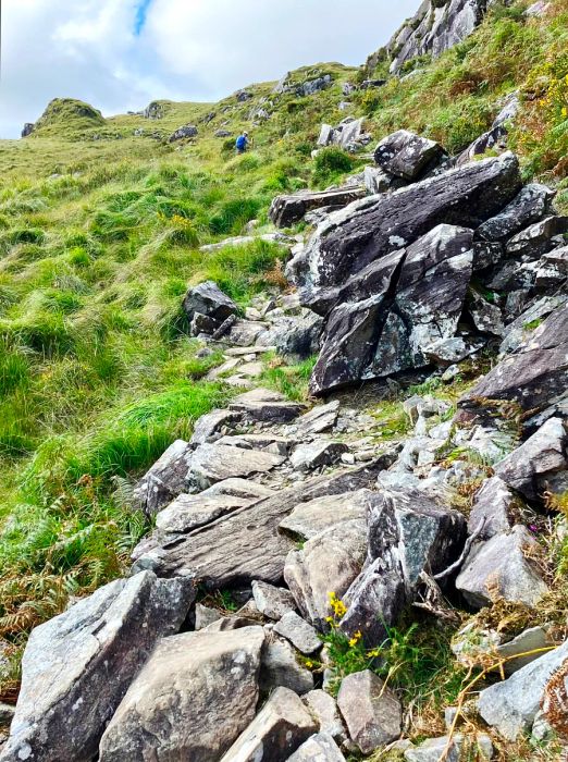 A steep, boulder-strewn trail, gazing up at a lush green hillside