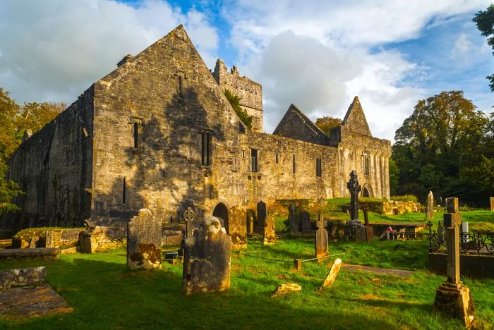 Exterior view of the gray stone ruins of Muckross Abbey, complete with a graveyard.