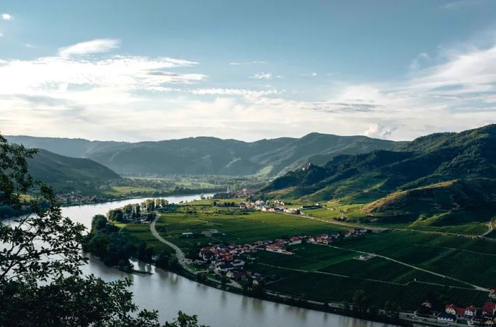 Bird's-eye view of Germany's Wachau Valley, showcasing the serene, winding Danube River and lush hillsides