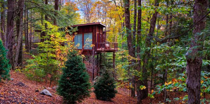 The exterior of a newly constructed Treehouse suite perched on stilts at Twin Farms, featuring a deck surrounded by a variety of trees.