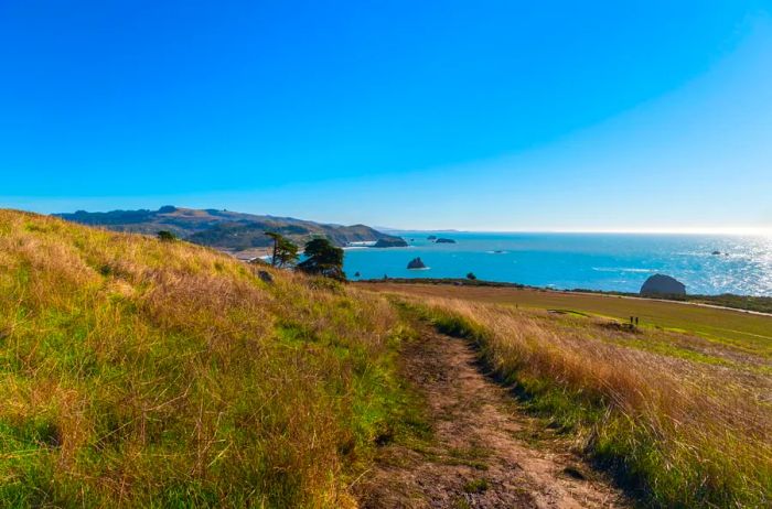 Jenner Headlands Preserve