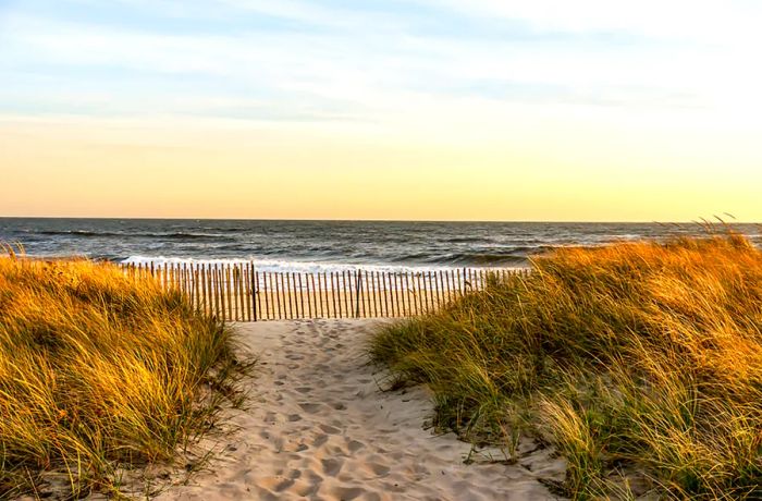 Local Getaways: Exploring the Hamptons in the Off-Peak Season