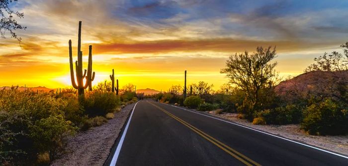 Desert road with a setting sun behind cactus silhouettes