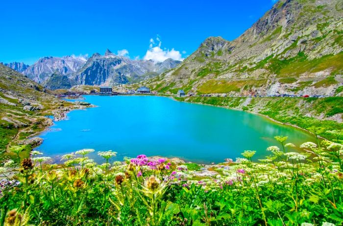 A picturesque mountain lake framed by lush green grass and blooming pink flowers.