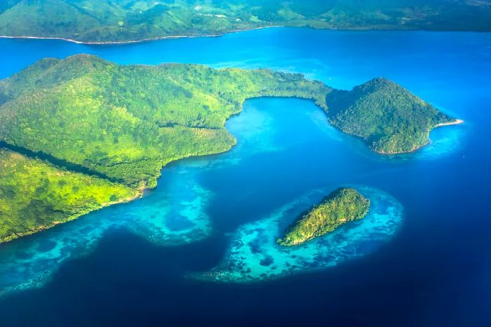 Aerial view of a lush green peninsula and a small island