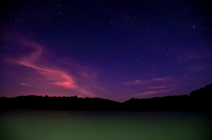 Silhouette of trees against a starry purple sky; a dark green lake in the foreground is faintly discernible.