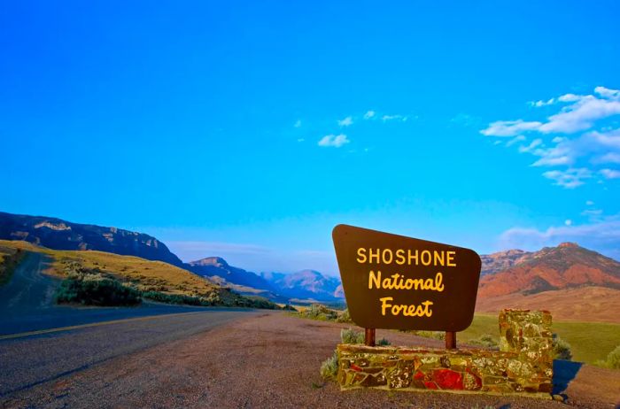 Welcome sign for Wyoming's Shoshone National Forest alongside an empty road