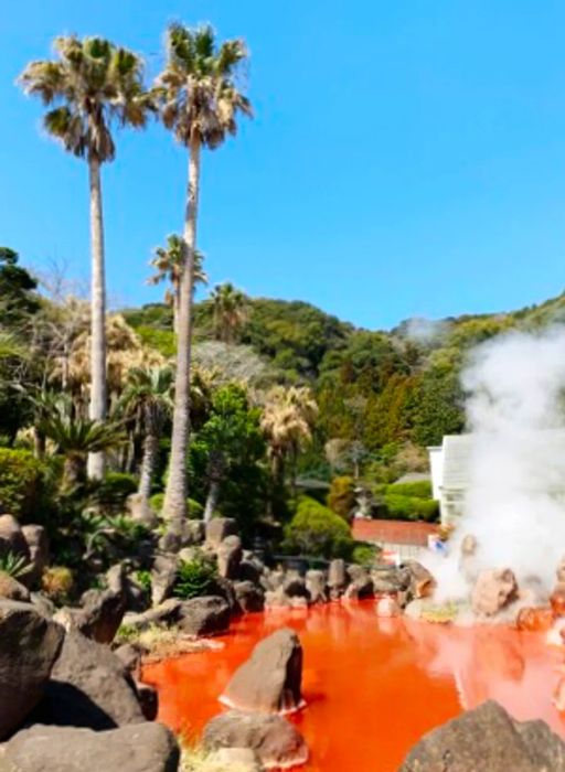 The Akaike Jigoku, or 'hell,' is striking with its fiery red hue, contrasting sharply with the peaceful blue of its counterparts.