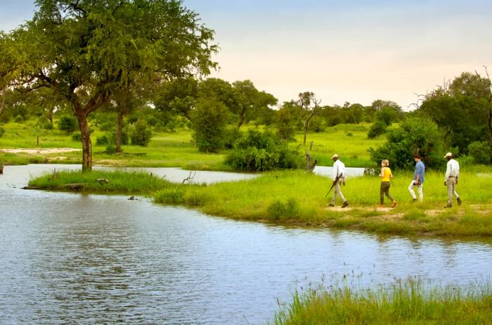 A glimpse of Cheetah Plains: individuals strolling alongside the river