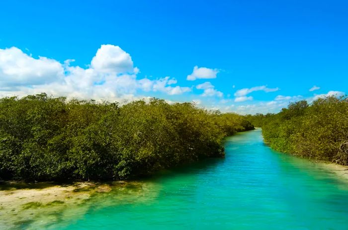 Sian Ka'an Biosphere Reserve