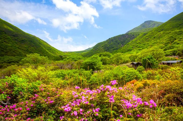 Hokkein Onsen in the Kuju Mountains