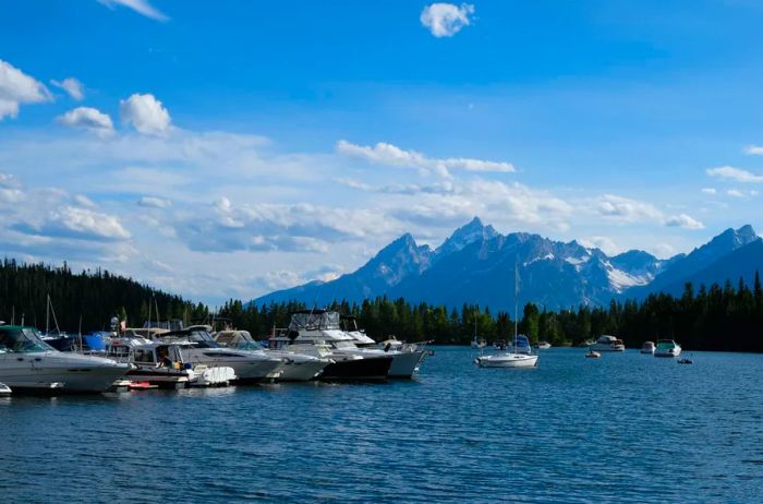 Lake Jackson, Colter Bay Village, United States