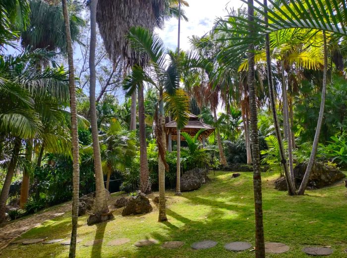 The Andromeda Botanic Gardens in Barbados features 500 unique plant species.