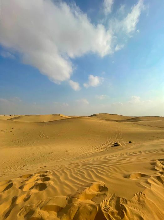 The Empty Quarter is just one of the many surreal landscapes you can explore on a journey to Abu Dhabi with Remote Lands.