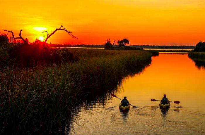 Kayaking is a beloved activity in Gulf Shores and Orange Beach.