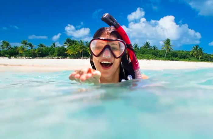 Experience Snorkeling on a Family Cruise Shore Excursion in the Caribbean