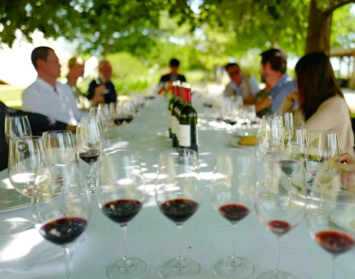 A row of red wine glasses on a white table beneath trees, with a few people and bottles in the background.