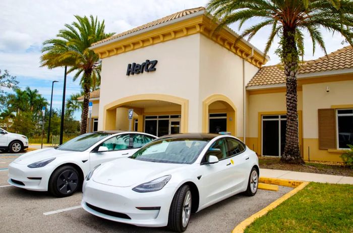 Two white Teslas are parked outside a Hertz car rental location, framed by two palm trees.