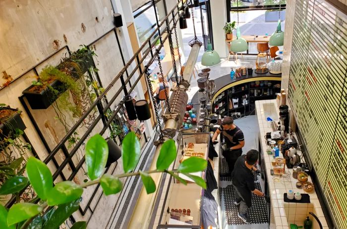 An aerial view of Dope Roasting Co., a coffee shop in Athens, showcases baristas at work behind the counter and walls adorned with plants.