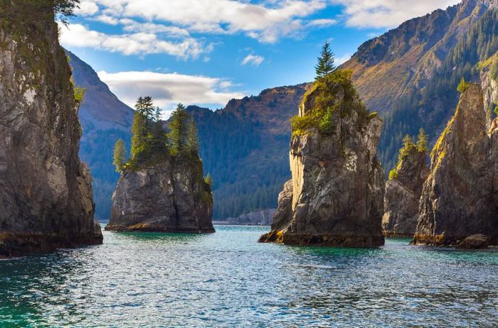 Islands with a few trees rising from the waters at Kenai Fjords National Park